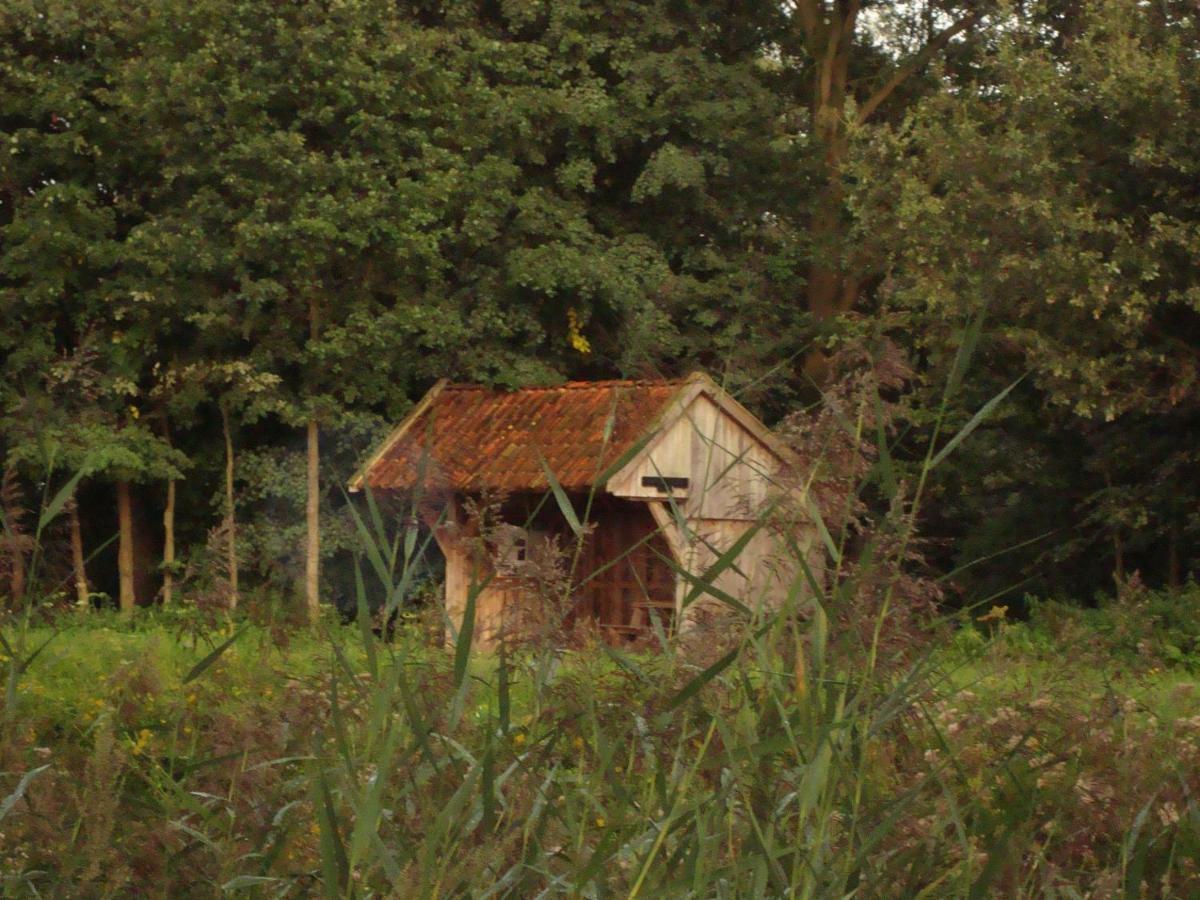 Bed And Breakfast De Boerderij Albergen 外观 照片